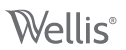 WELLIS HUNGARY LTD